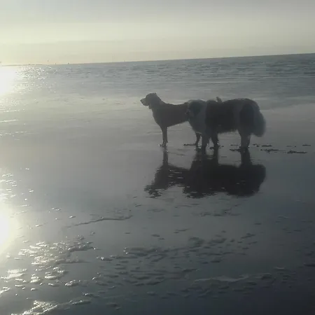 Hupes-ferienhaus Bulkau