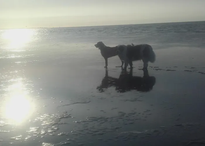 Hupes-ferienhaus Bulkau